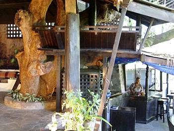 Mago Estate Hotel Soufrière 외부 사진